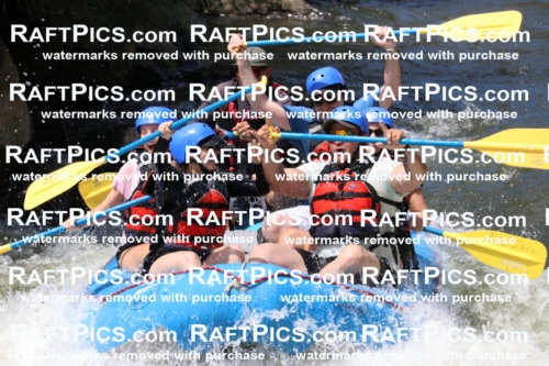 000669_July-10_New-Wave_RAFT-Pics_Racecourse-PM_BS_Elias