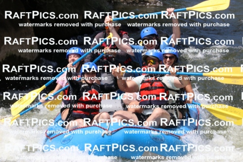 000670_July-10_New-Wave_RAFT-Pics_Racecourse-PM_BS_Elias