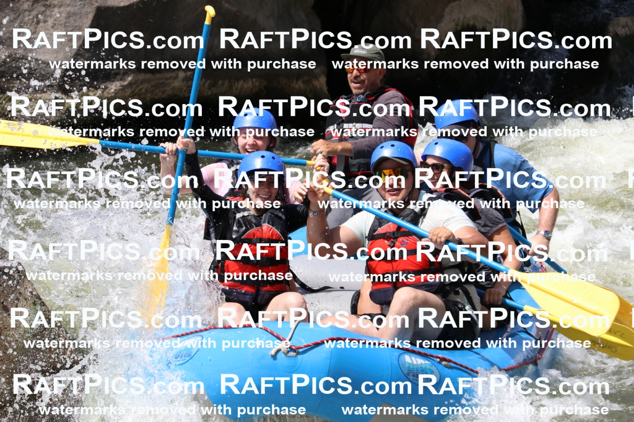 000673_July-10_New-Wave_RAFT-Pics_Racecourse-PM_BS_Elias