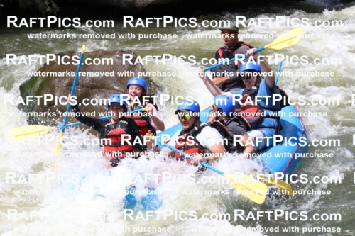 000676_July-10_New-Wave_RAFT-Pics_Racecourse-PM_BS_Elias