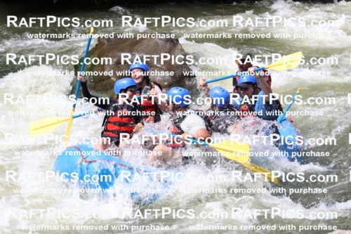 000678_July-10_New-Wave_RAFT-Pics_Racecourse-PM_BS_Elias