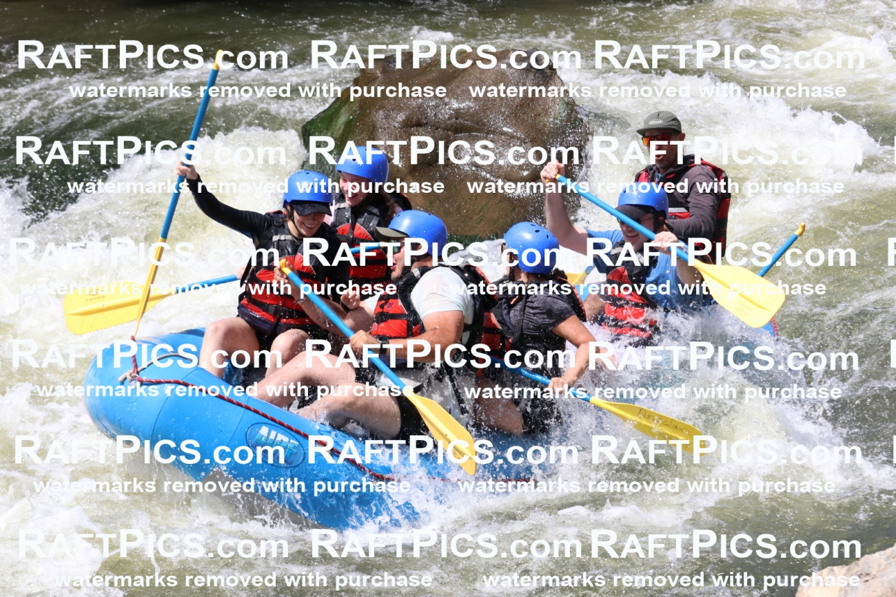 000679_July-10_New-Wave_RAFT-Pics_Racecourse-PM_BS_Elias