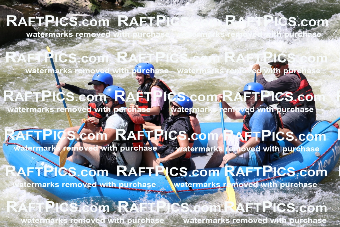 000681_July-10_New-Wave_RAFT-Pics_Racecourse-PM_BS_Elias