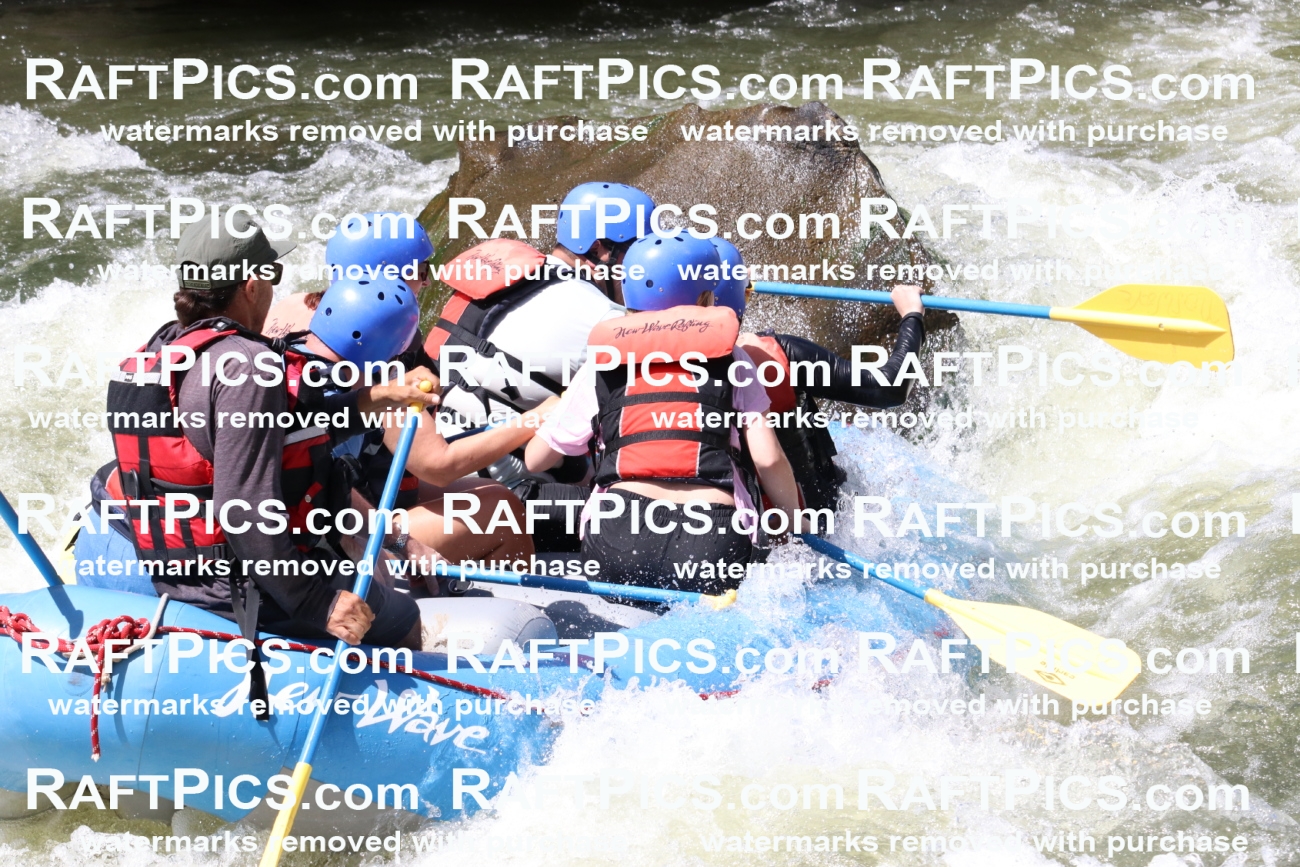 000682_July-10_New-Wave_RAFT-Pics_Racecourse-PM_BS_Elias