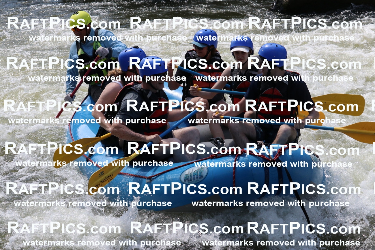 000683_July-10_New-Wave_RAFT-Pics_Racecourse-PM_BS_Joey