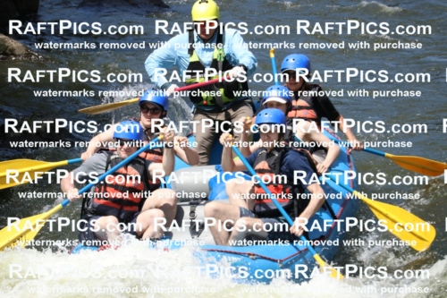 000689_July-10_New-Wave_RAFT-Pics_Racecourse-PM_BS_Joey