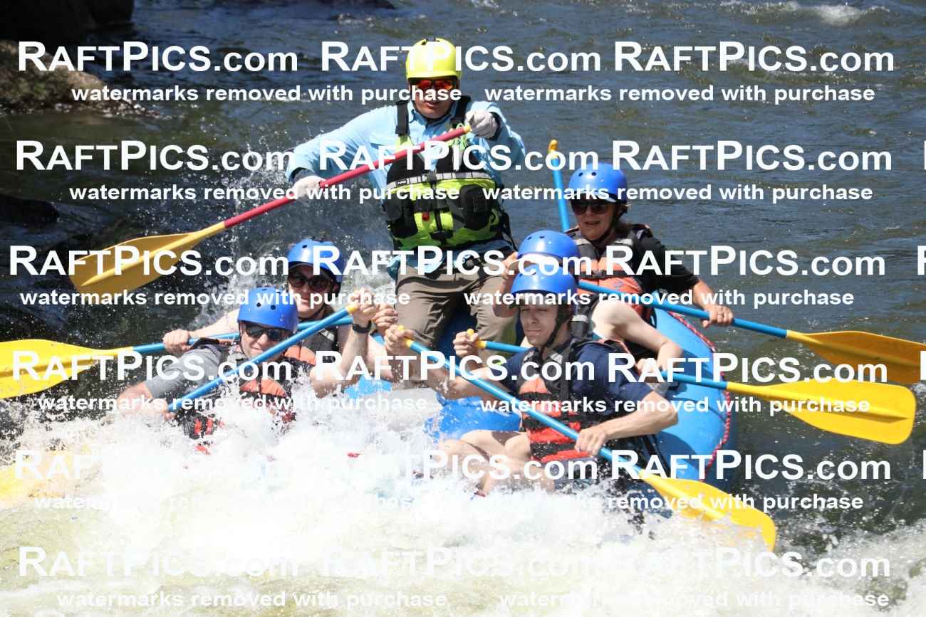 000690_July-10_New-Wave_RAFT-Pics_Racecourse-PM_BS_Joey