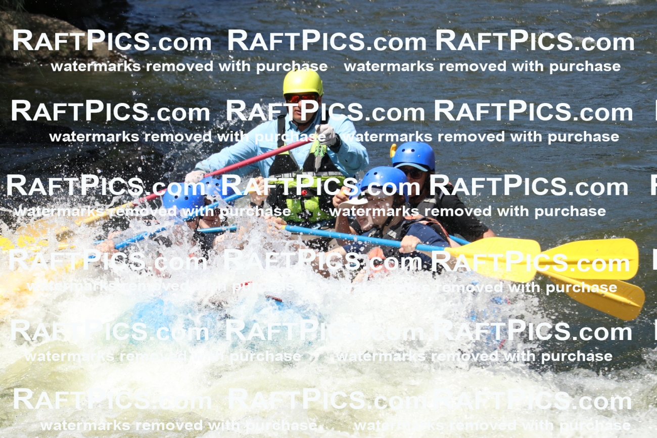 000691_July-10_New-Wave_RAFT-Pics_Racecourse-PM_BS_Joey