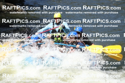 000691_July-10_New-Wave_RAFT-Pics_Racecourse-PM_BS_Joey