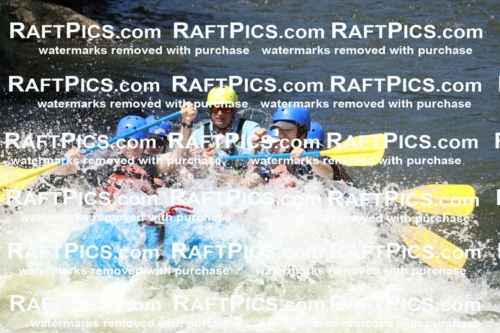 000692_July-10_New-Wave_RAFT-Pics_Racecourse-PM_BS_Joey