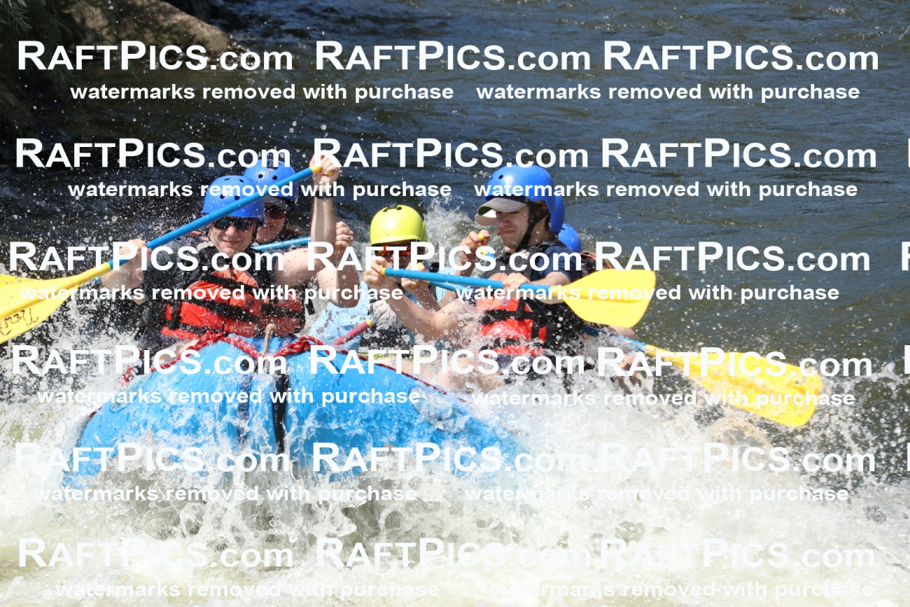 000693_July-10_New-Wave_RAFT-Pics_Racecourse-PM_BS_Joey