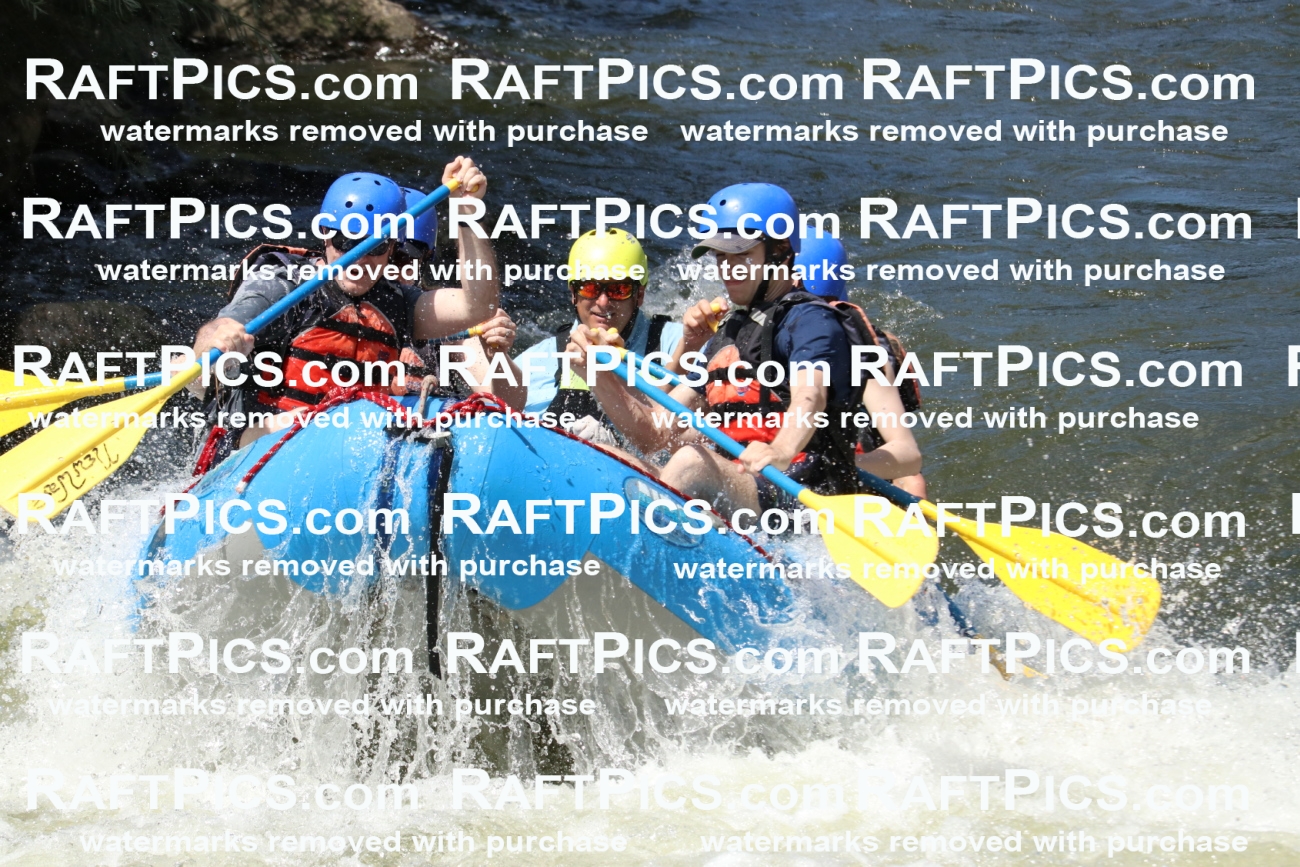 000694_July-10_New-Wave_RAFT-Pics_Racecourse-PM_BS_Joey