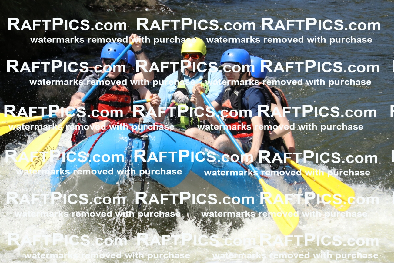 000695_July-10_New-Wave_RAFT-Pics_Racecourse-PM_BS_Joey