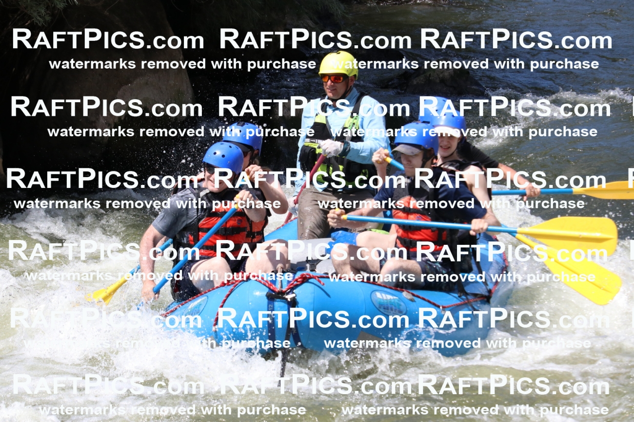 000696_July-10_New-Wave_RAFT-Pics_Racecourse-PM_BS_Joey