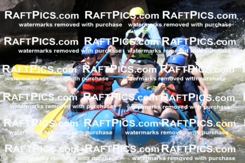 000697_July-10_New-Wave_RAFT-Pics_Racecourse-PM_BS_Joey