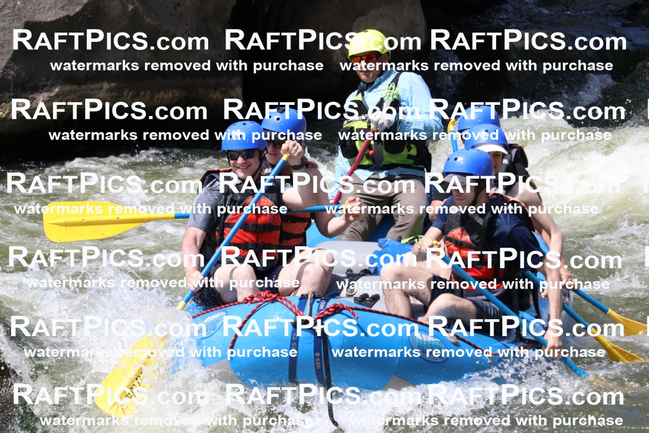 000698_July-10_New-Wave_RAFT-Pics_Racecourse-PM_BS_Joey