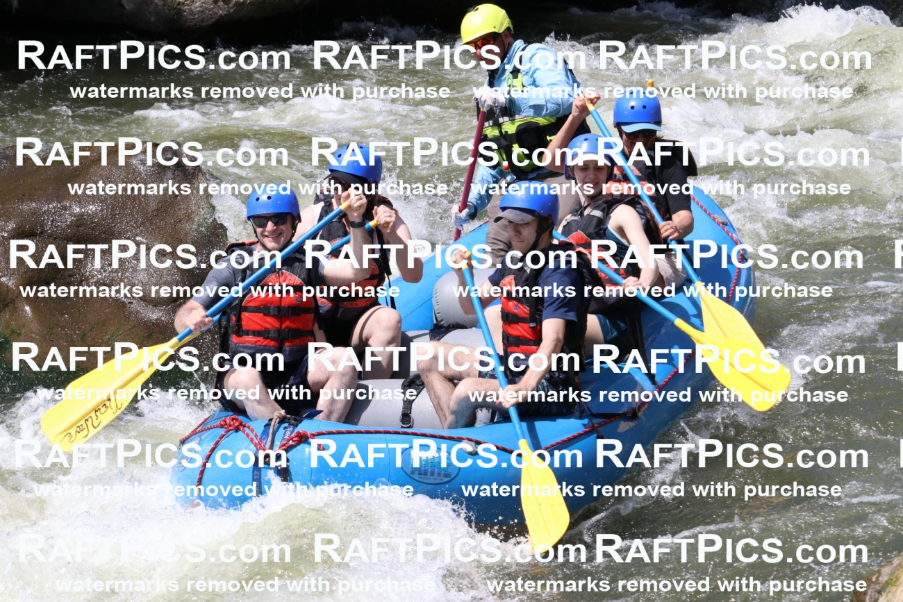 000699_July-10_New-Wave_RAFT-Pics_Racecourse-PM_BS_Joey