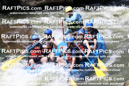 000700_July-10_New-Wave_RAFT-Pics_Racecourse-PM_BS_Joey