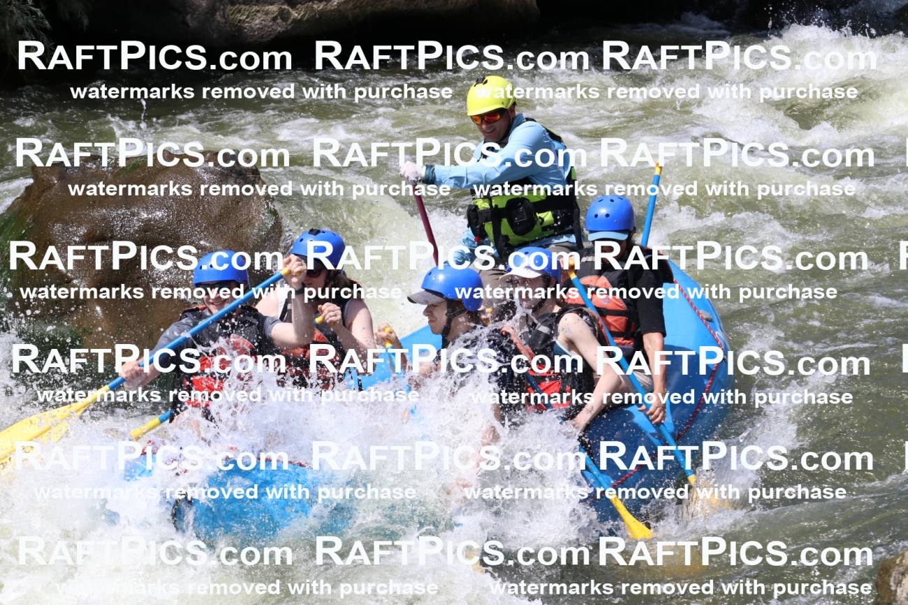 000701_July-10_New-Wave_RAFT-Pics_Racecourse-PM_BS_Joey