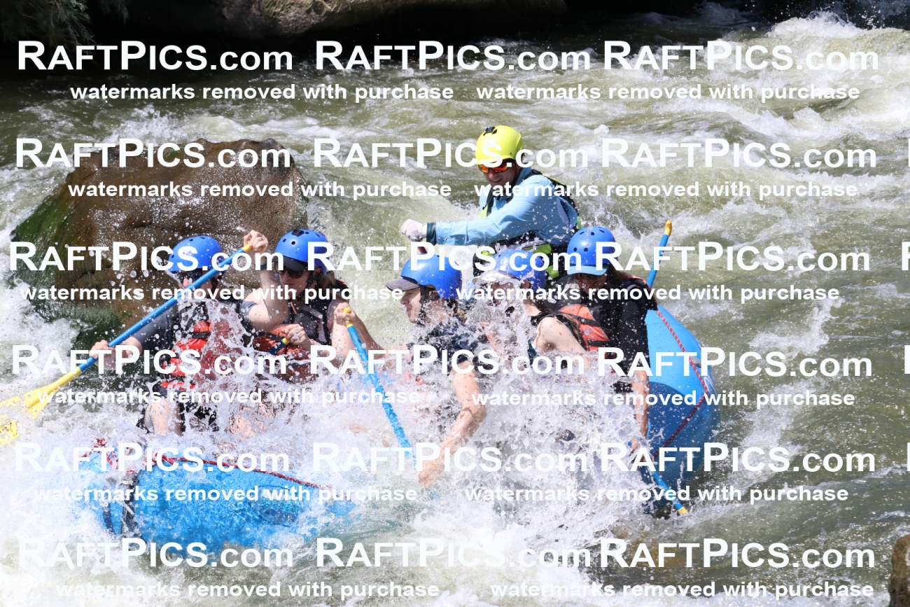 000702_July-10_New-Wave_RAFT-Pics_Racecourse-PM_BS_Joey