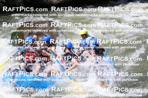 000703_July-10_New-Wave_RAFT-Pics_Racecourse-PM_BS_Joey