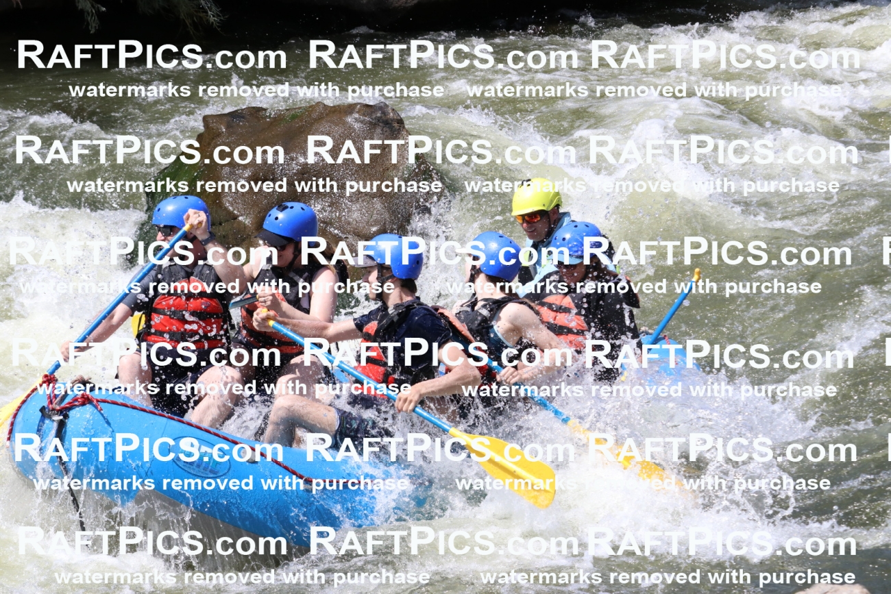 000704_July-10_New-Wave_RAFT-Pics_Racecourse-PM_BS_Joey