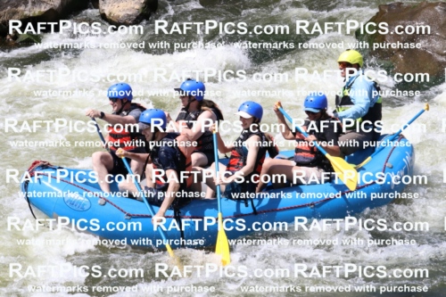 000705_July-10_New-Wave_RAFT-Pics_Racecourse-PM_BS_Joey