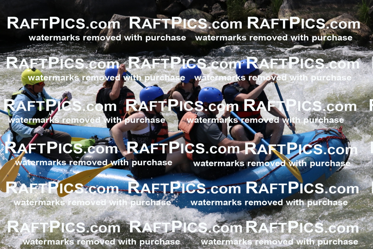 000706_July-10_New-Wave_RAFT-Pics_Racecourse-PM_BS_Joey