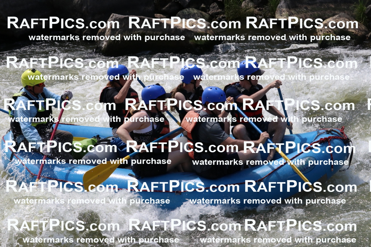 000707_July-10_New-Wave_RAFT-Pics_Racecourse-PM_BS_Joey