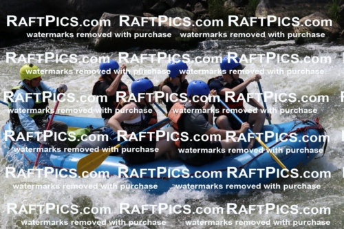 000707_July-10_New-Wave_RAFT-Pics_Racecourse-PM_BS_Joey