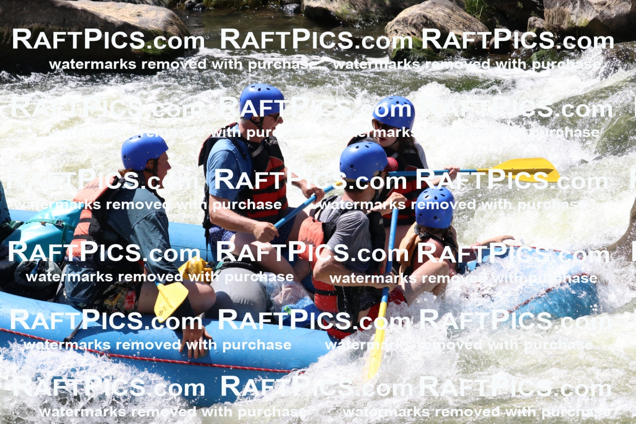 000735_July-10_New-Wave_RAFT-Pics_Racecourse-PM_BS_Orlando