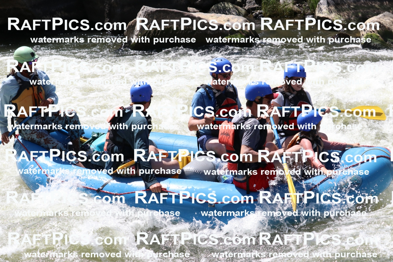 000737_July-10_New-Wave_RAFT-Pics_Racecourse-PM_BS_Orlando