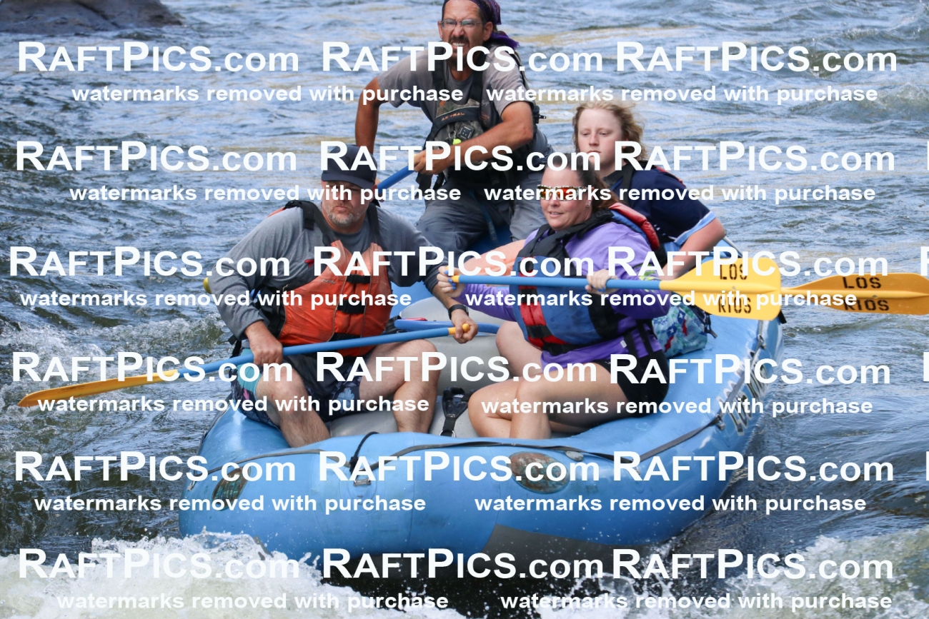 000615_July-10_Los-Rios_RAFT-Pics_Racecourse-PM_BS_Shay