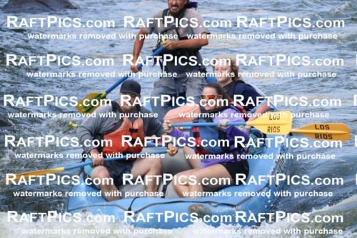 000616_July-10_Los-Rios_RAFT-Pics_Racecourse-PM_BS_Shay