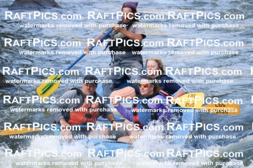 000617_July-10_Los-Rios_RAFT-Pics_Racecourse-PM_BS_Shay