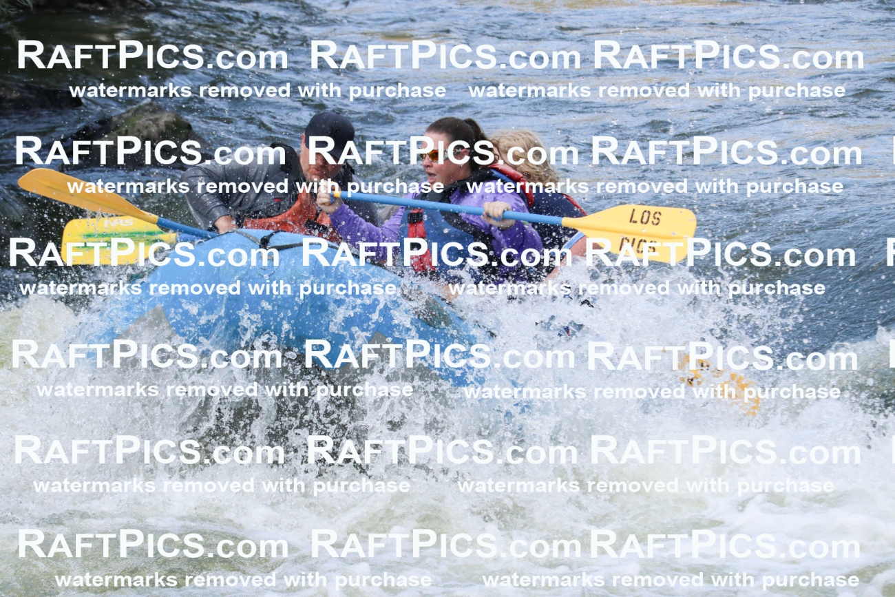 000621_July-10_Los-Rios_RAFT-Pics_Racecourse-PM_BS_Shay