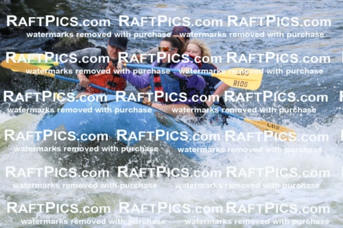 000622_July-10_Los-Rios_RAFT-Pics_Racecourse-PM_BS_Shay