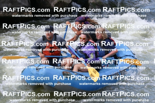 000626_July-10_Los-Rios_RAFT-Pics_Racecourse-PM_BS_Shay