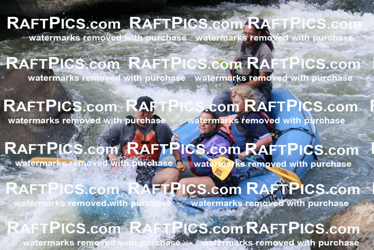 000629_July-10_Los-Rios_RAFT-Pics_Racecourse-PM_BS_Shay