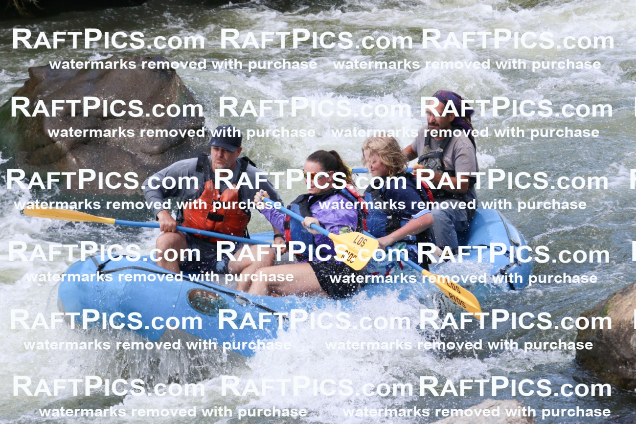 000632_July-10_Los-Rios_RAFT-Pics_Racecourse-PM_BS_Shay