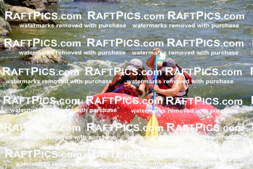 001972_July-11_Los-Rios_RAFT-Pics_Racecourse-AM_SW_Abe__LES8600