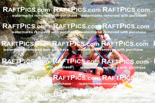 001974_July-11_Los-Rios_RAFT-Pics_Racecourse-AM_SW_Abe__LES8602