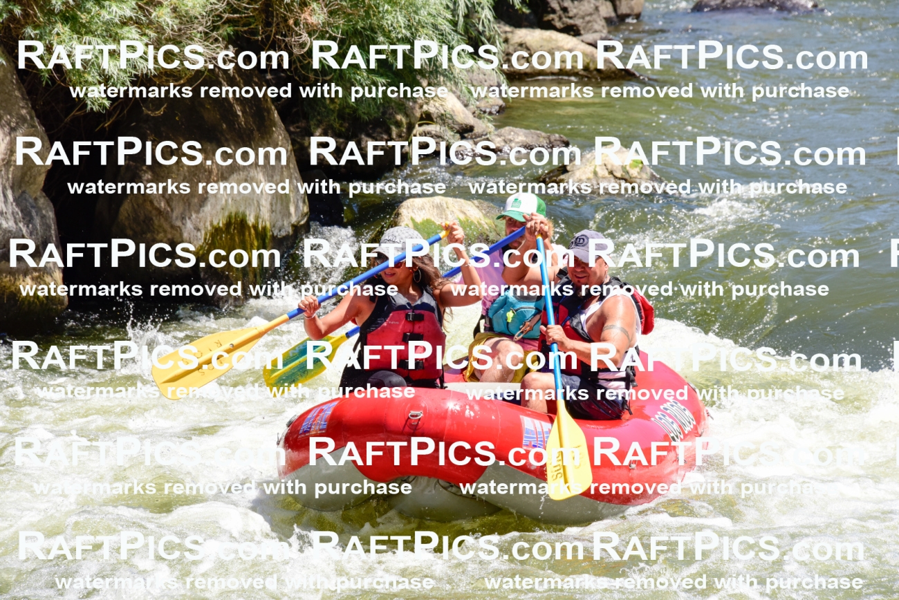 001976_July-11_Los-Rios_RAFT-Pics_Racecourse-AM_SW_Abe__LES8604