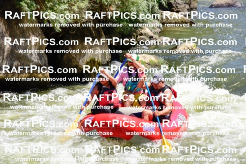 001978_July-11_Los-Rios_RAFT-Pics_Racecourse-AM_SW_Abe__LES8606