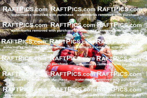 001980_July-11_Los-Rios_RAFT-Pics_Racecourse-AM_SW_Abe__LES8608