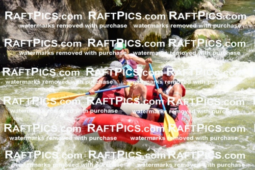 001981_July-11_Los-Rios_RAFT-Pics_Racecourse-AM_SW_Abe__LES8609