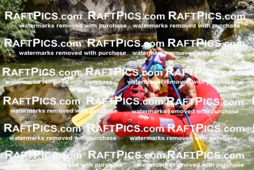 001983_July-11_Los-Rios_RAFT-Pics_Racecourse-AM_SW_Abe__LES8611