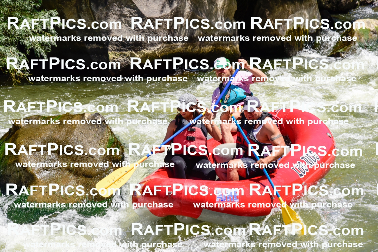 001984_July-11_Los-Rios_RAFT-Pics_Racecourse-AM_SW_Abe__LES8612