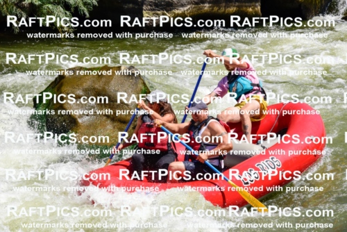 001987_July-11_Los-Rios_RAFT-Pics_Racecourse-AM_SW_Abe__LES8615