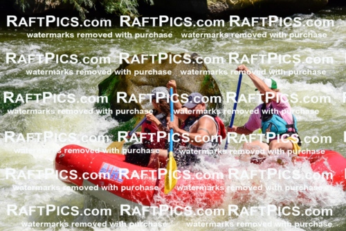 001988_July-11_Los-Rios_RAFT-Pics_Racecourse-AM_SW_Abe__LES8616